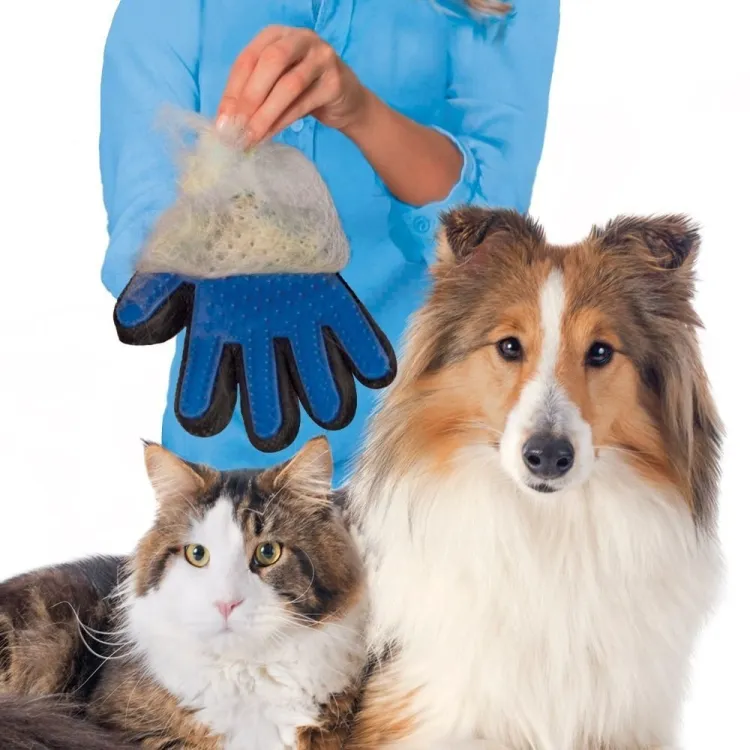 Hair glove hotsell for cats