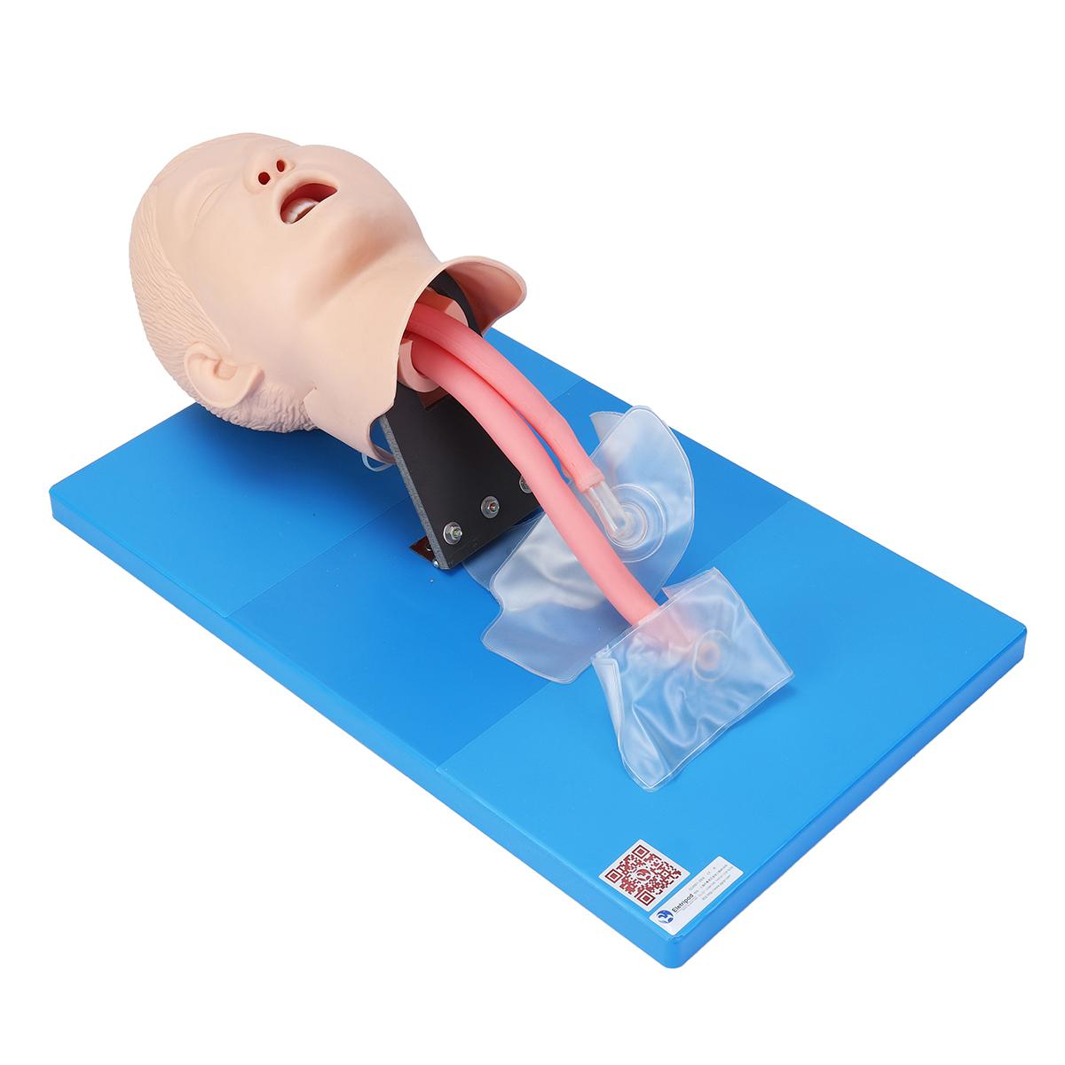 Shop Generic Intubation Manikin Study Teaching Child Model Airway ...