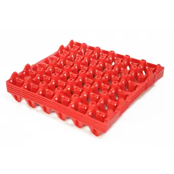 30 Grid Kitchen Plastic Egg Storage Tray Eggs Organizer Buy Online At Best Prices In Pakistan Daraz Pk