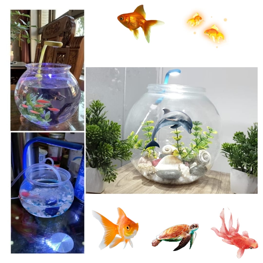 Goldfish bowl price sale