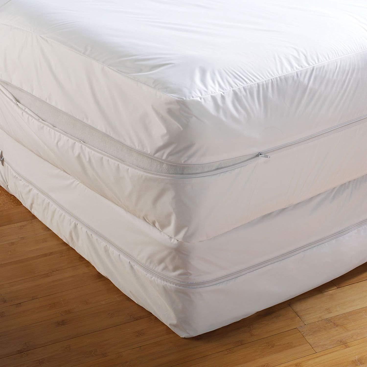 bed bug mattress encasements reviews