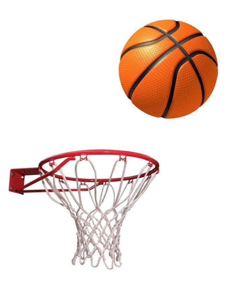 Basket Ball With Net and Ring - Standard Size