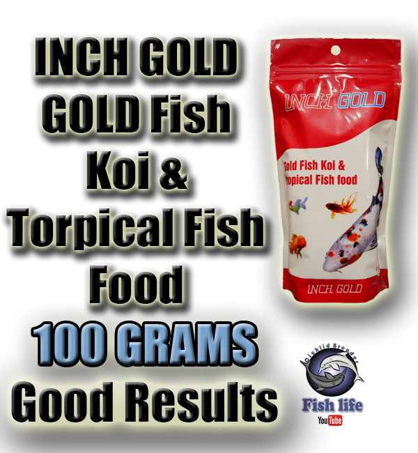 Fish Food Gold Fish Koi Fish Tropical