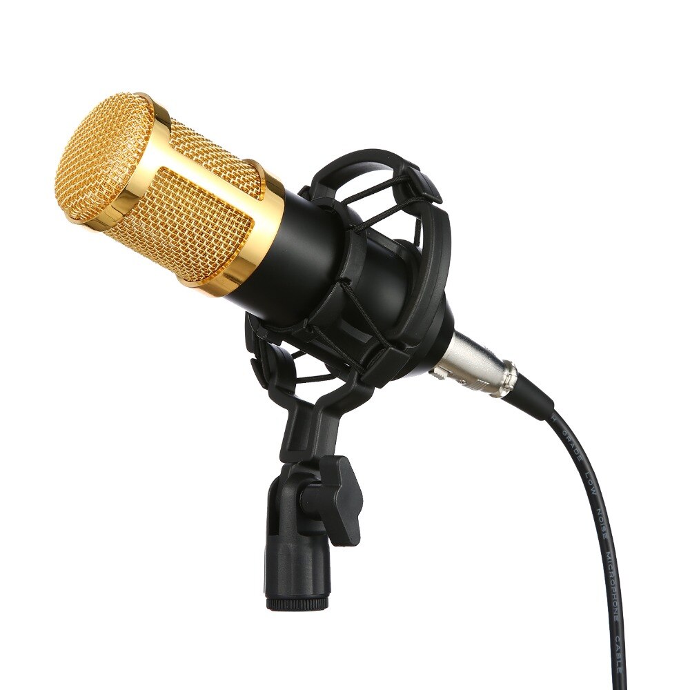 Complete Recording Package with Condenser Microphone" Daraz.pk