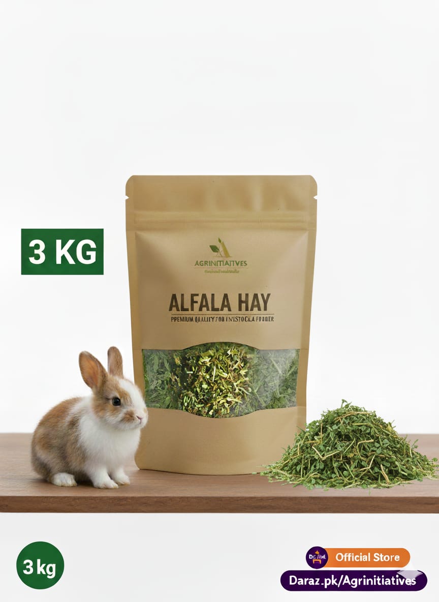 HiPro Premium Alfalfa Hay upto 3kg Packing – Dry Losan Alfa Hay Premium Pet & Livestock Feed  Rabbits, Goats, Horses, Cows  High Protein & Calcium  Pet Supplies Pet Food