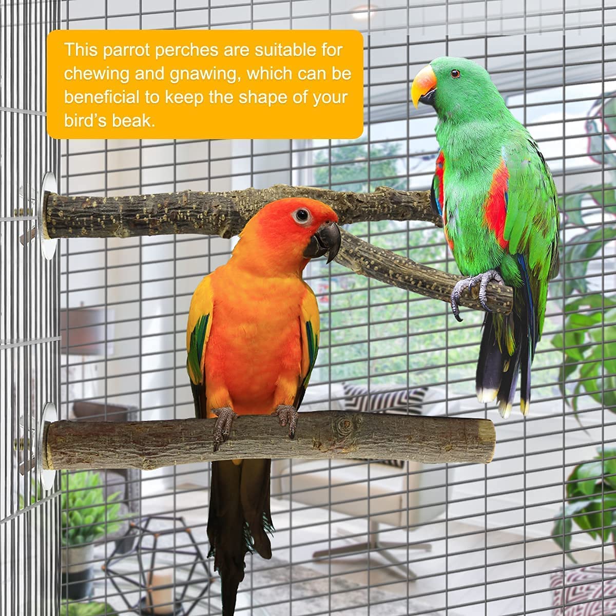 Parrot Standing Platforms EELLAO 8-Piece Bird Perch Set - Natural Wood ...