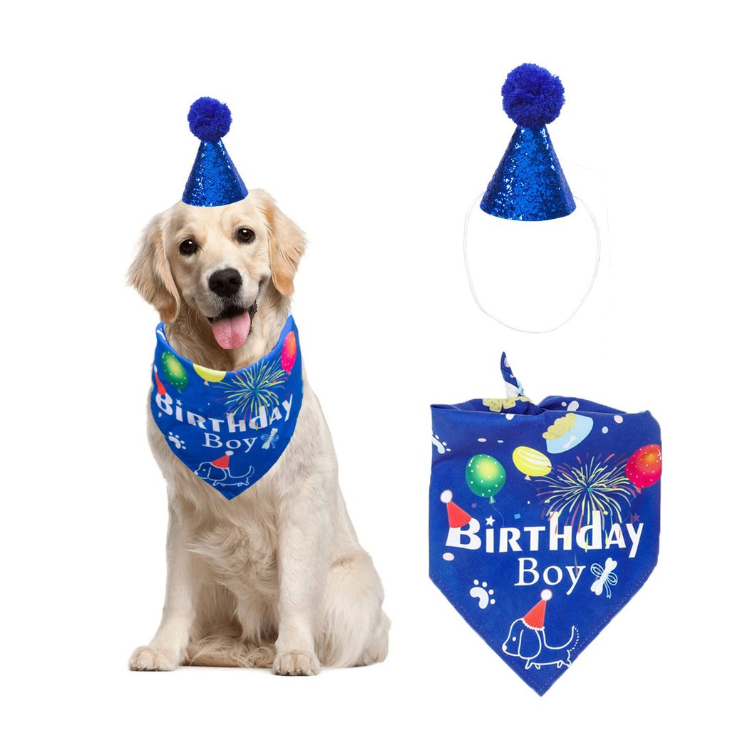 Petsmart Dog Birthday | atelier-yuwa.ciao.jp