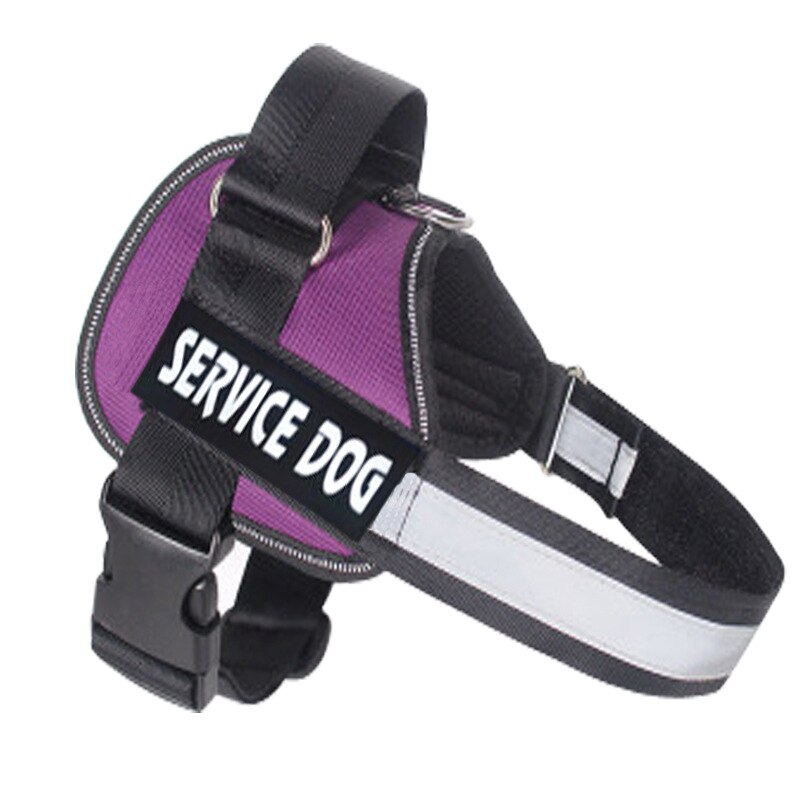 Service dog harness sales purple