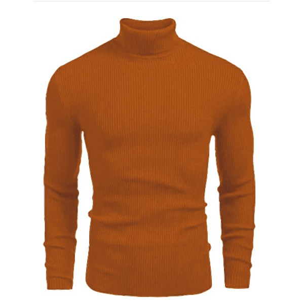 Trendy Fashion Premium Quality Slim Fit O-neck Lightweight Long Sleeve High Neck Turtleneck Elegant Sweaters for Men at Faiq Store