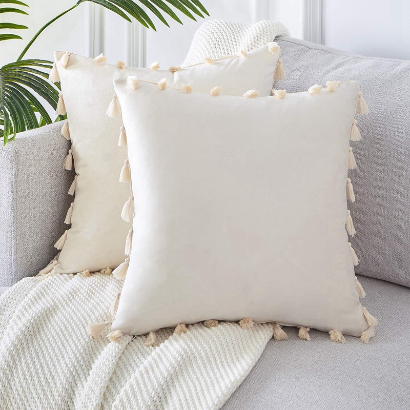boho fringe pillow