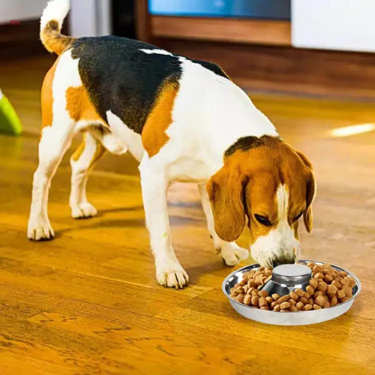 Stainless steel anti store gulp dog bowl