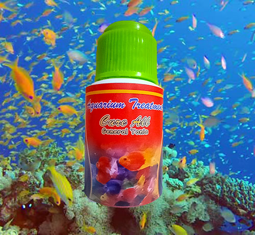Aquarium Fish Care  Best Medicine For All Fish Disease