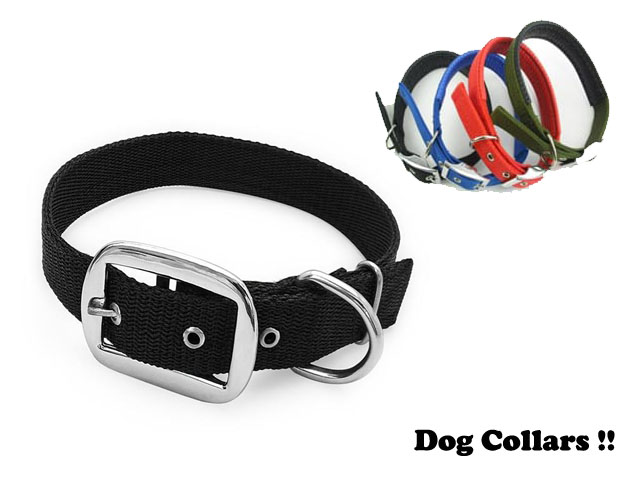 dog collar prices