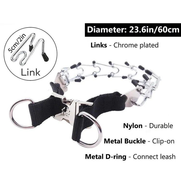 Metal prong dog outlet training collar