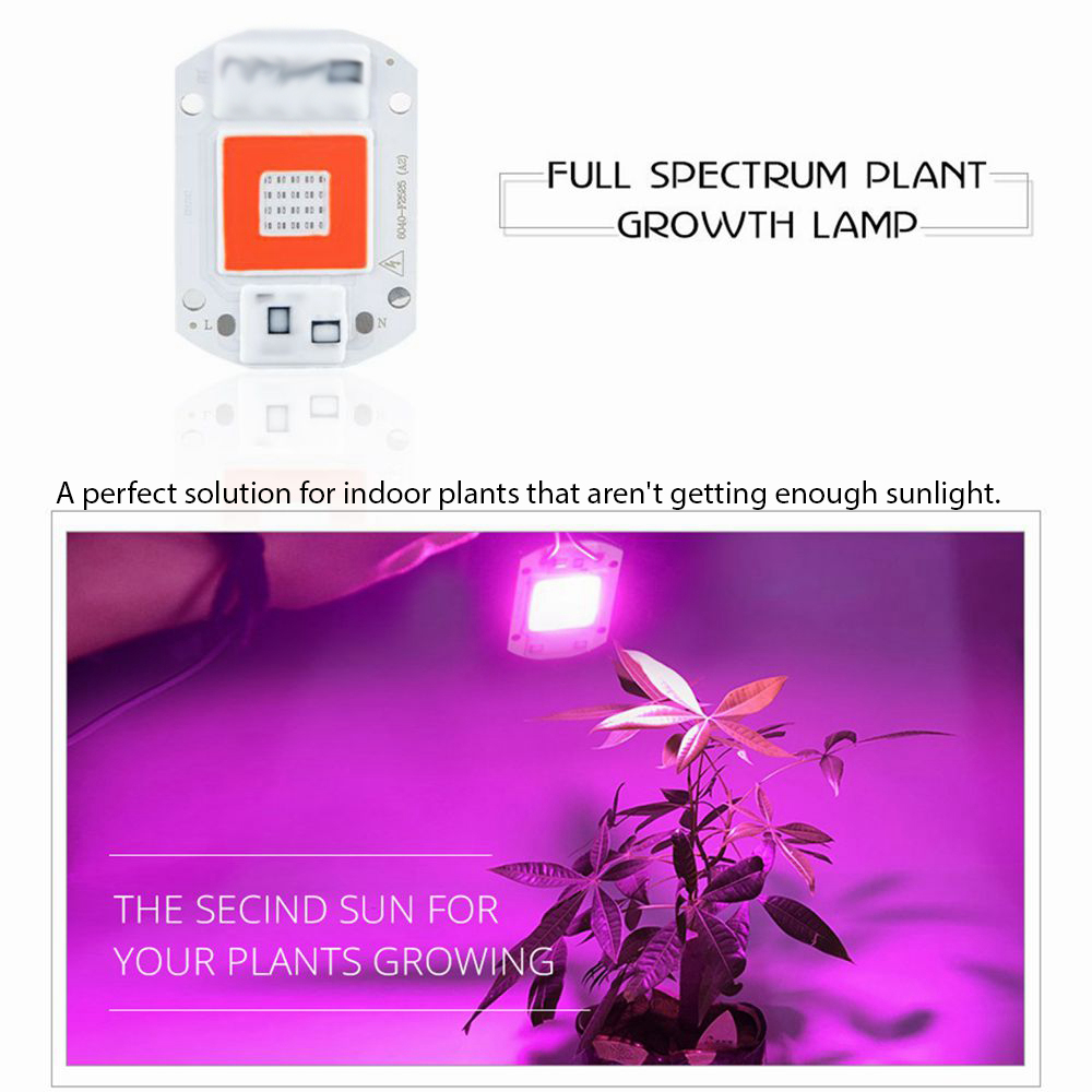 Full Spectrum Led Grow Lights for plants 20w DOB | Daraz.pk
