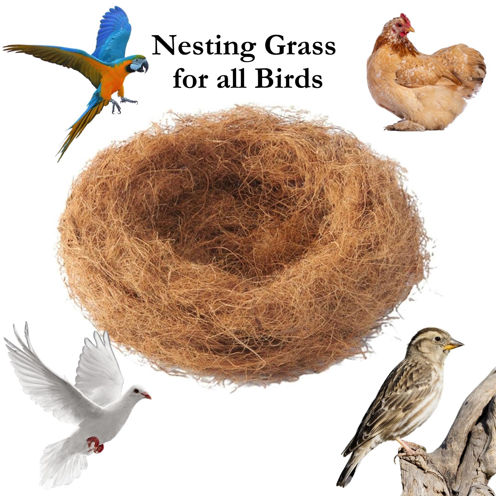 kg Nesting Grass Nesting Material for Birds Parrot pigeons