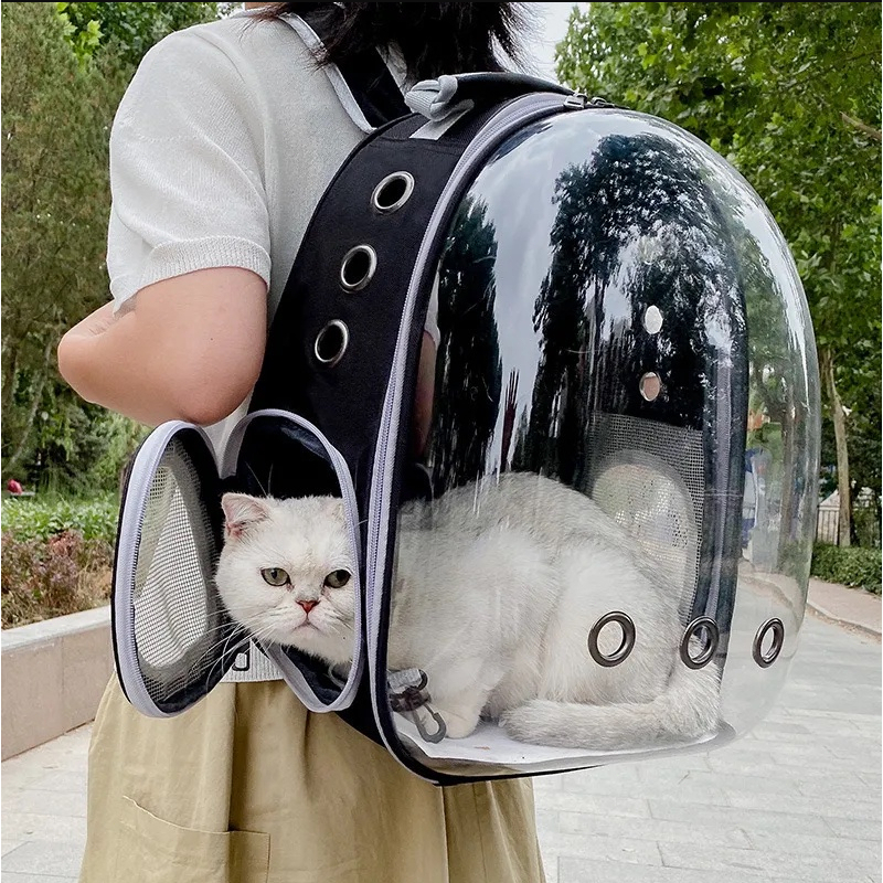 Travel Bags