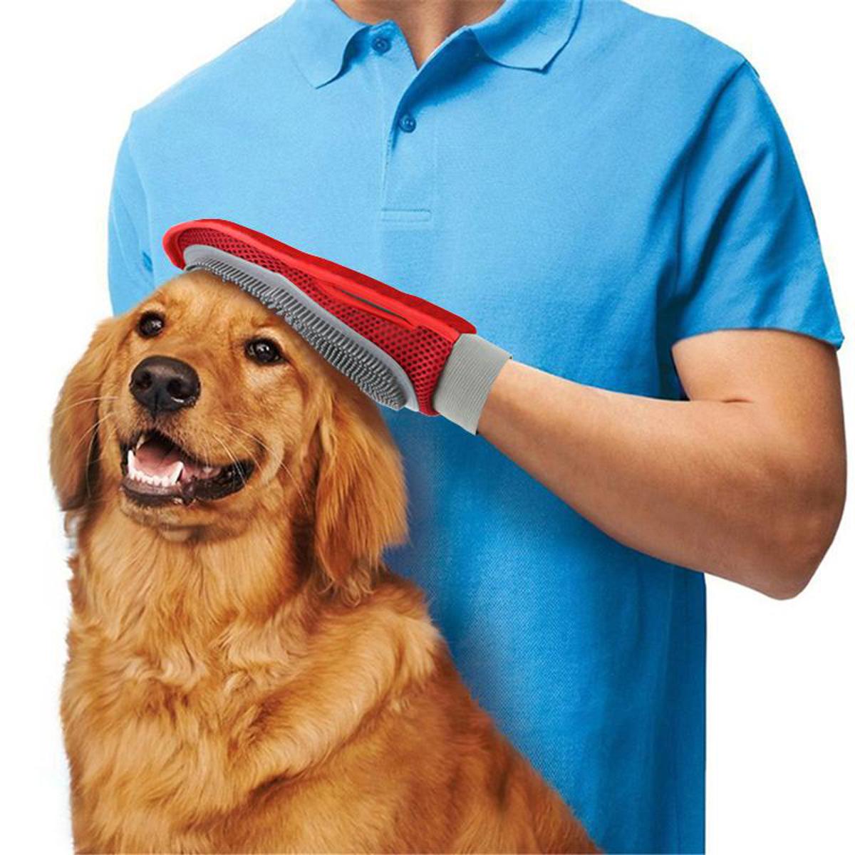 Gloves for outlet removing dog hair