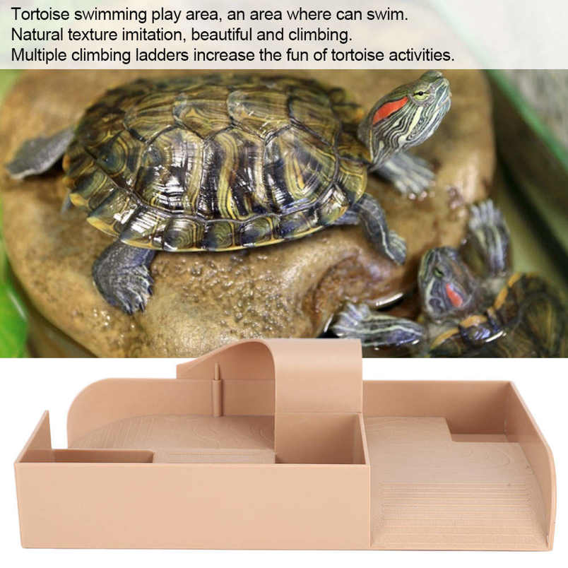 tortoise supply