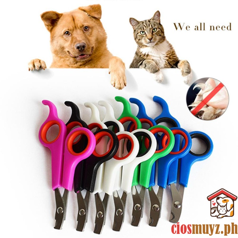 Are Dog And Cat Clippers The Same
