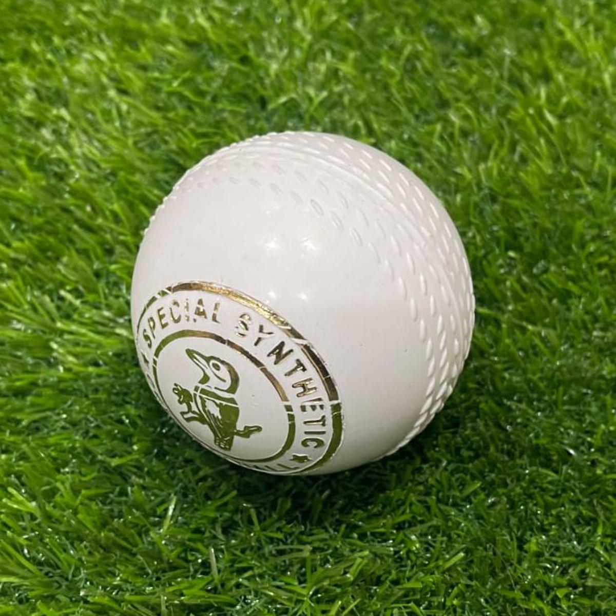 Practice Cricket Hard Ball (Synthetic)