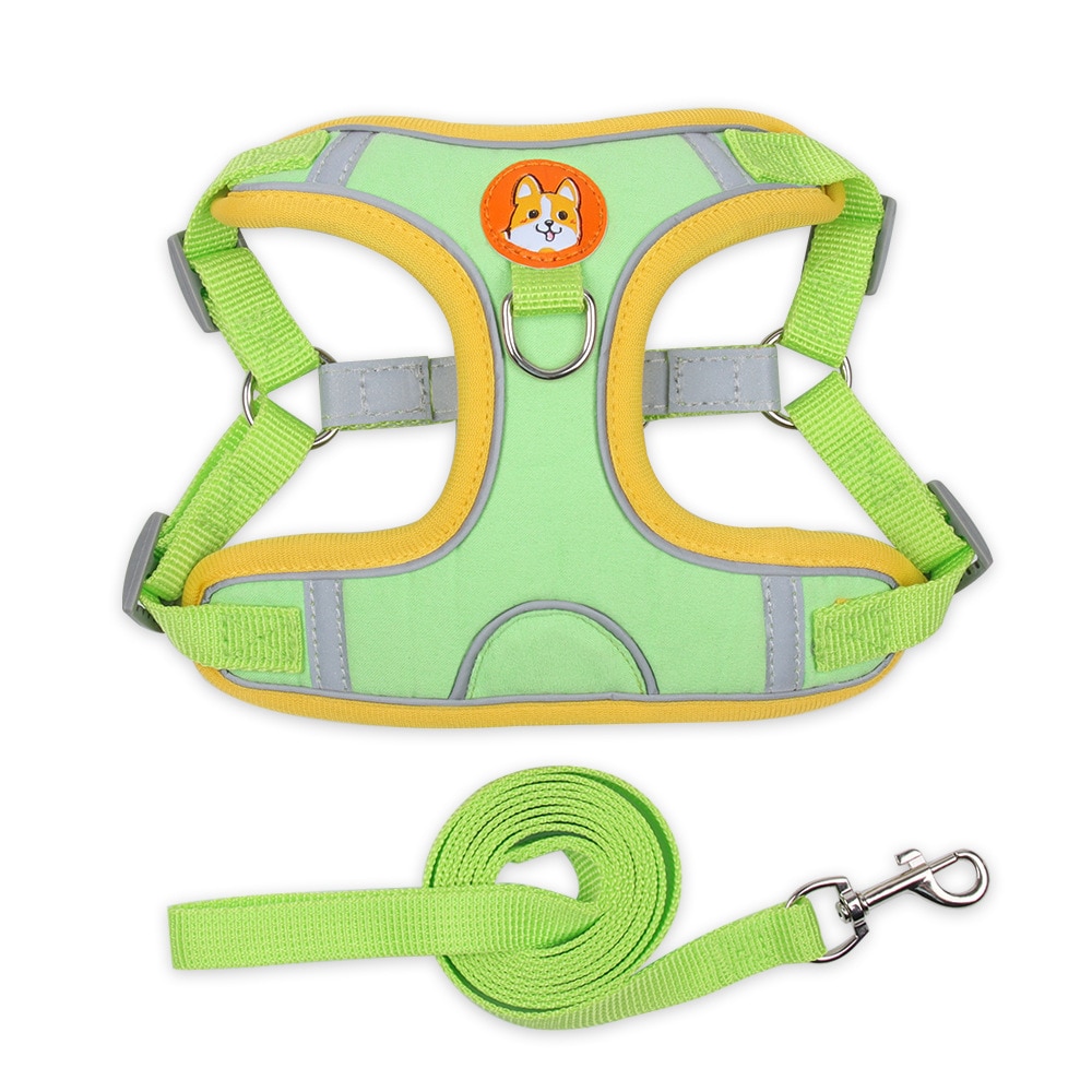 dog harness for walking small dog