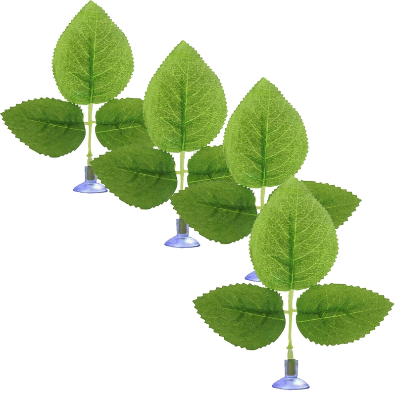 betta leaf hammock review