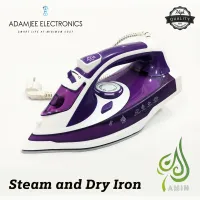 AMIN Steam Iron and Dry Iron LX-298