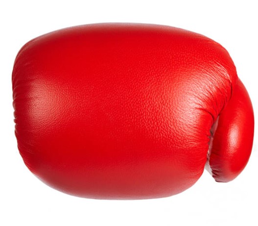 RESPAWN  Boxing Gloves Punching Gloves For Martial Arts, MMA, Boxing, Fighting Sports Foe Men and Women - Multicolor