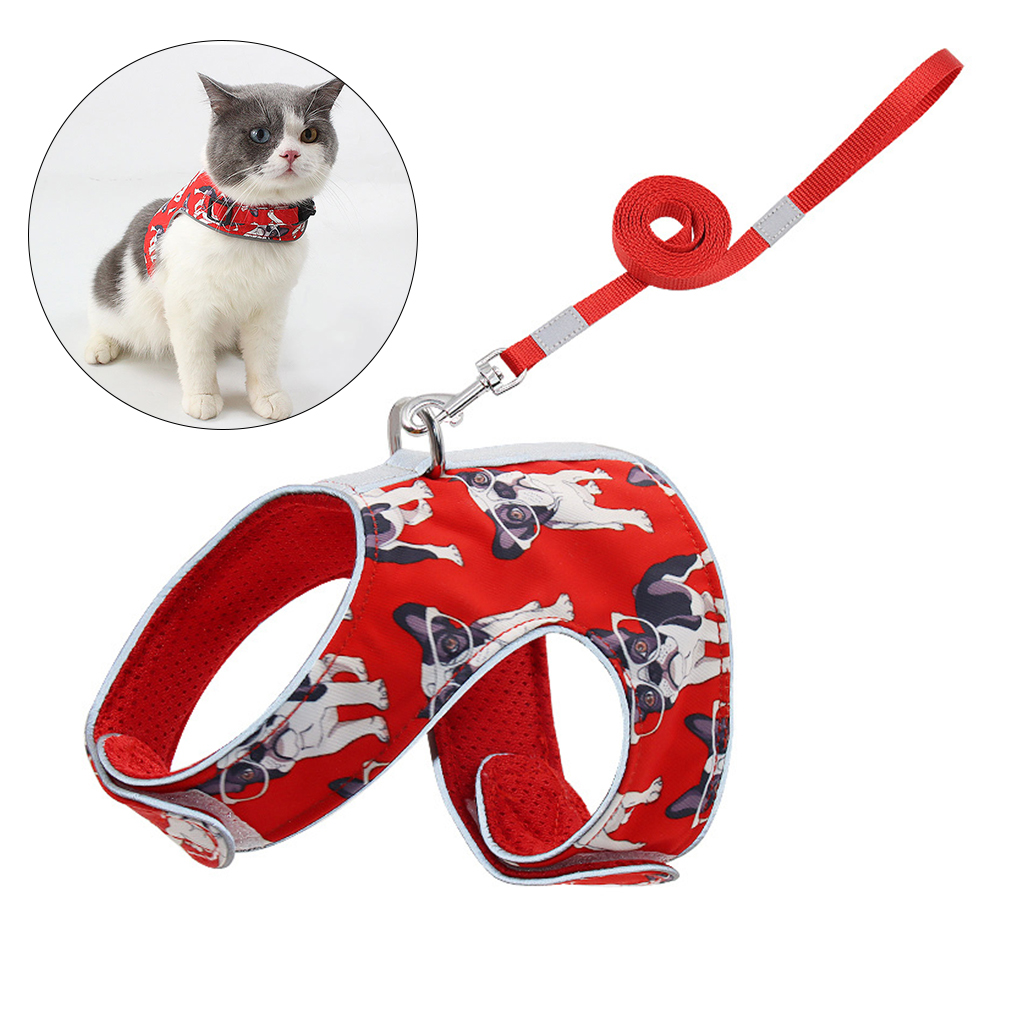 cat harness for large cats