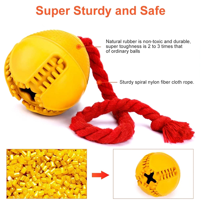 jolly ball dog toy with rope