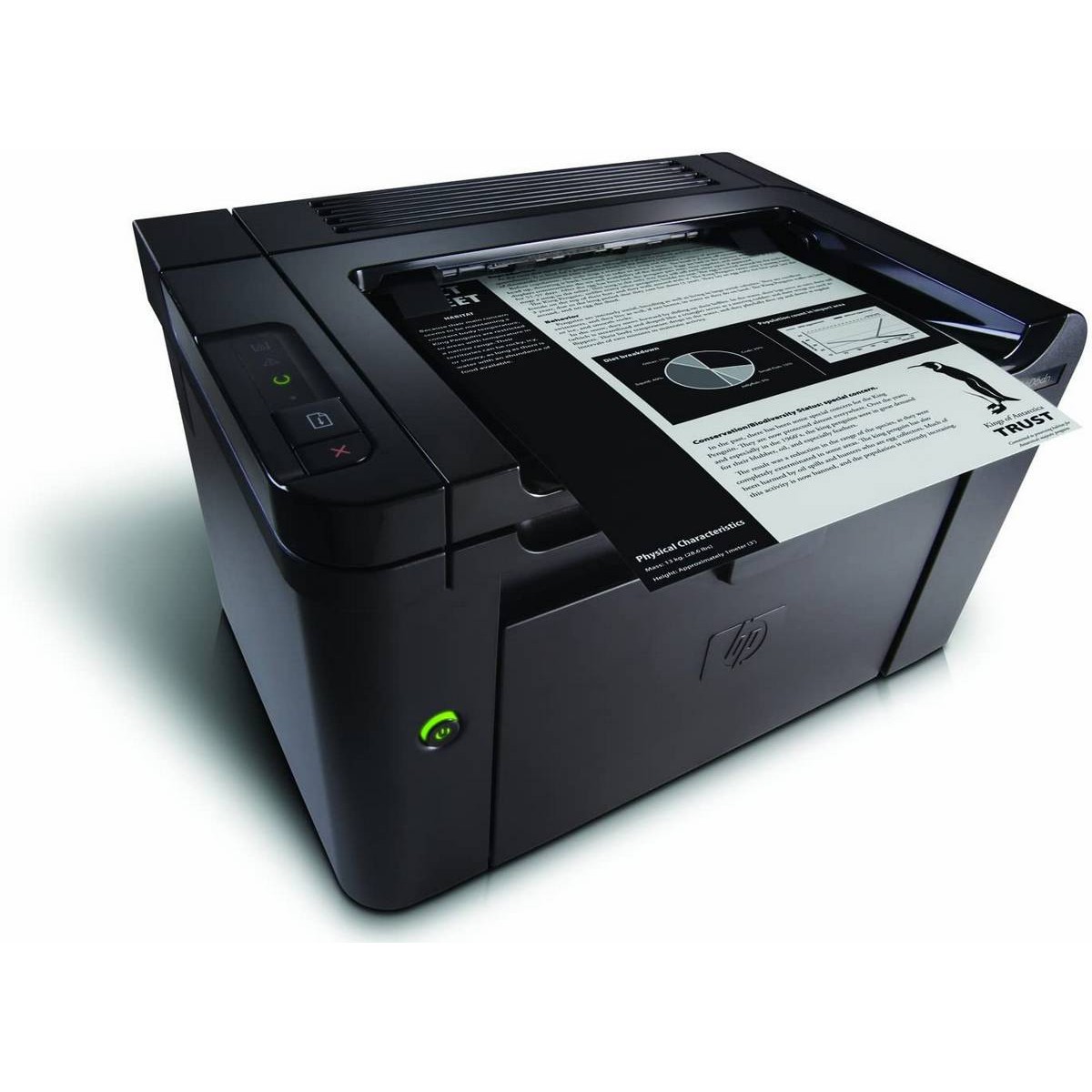 Tuff And Ruff Hewcb412a Hp Laser Jet P1505 Printer Buy Online At Best Prices In Pakistan Daraz Pk