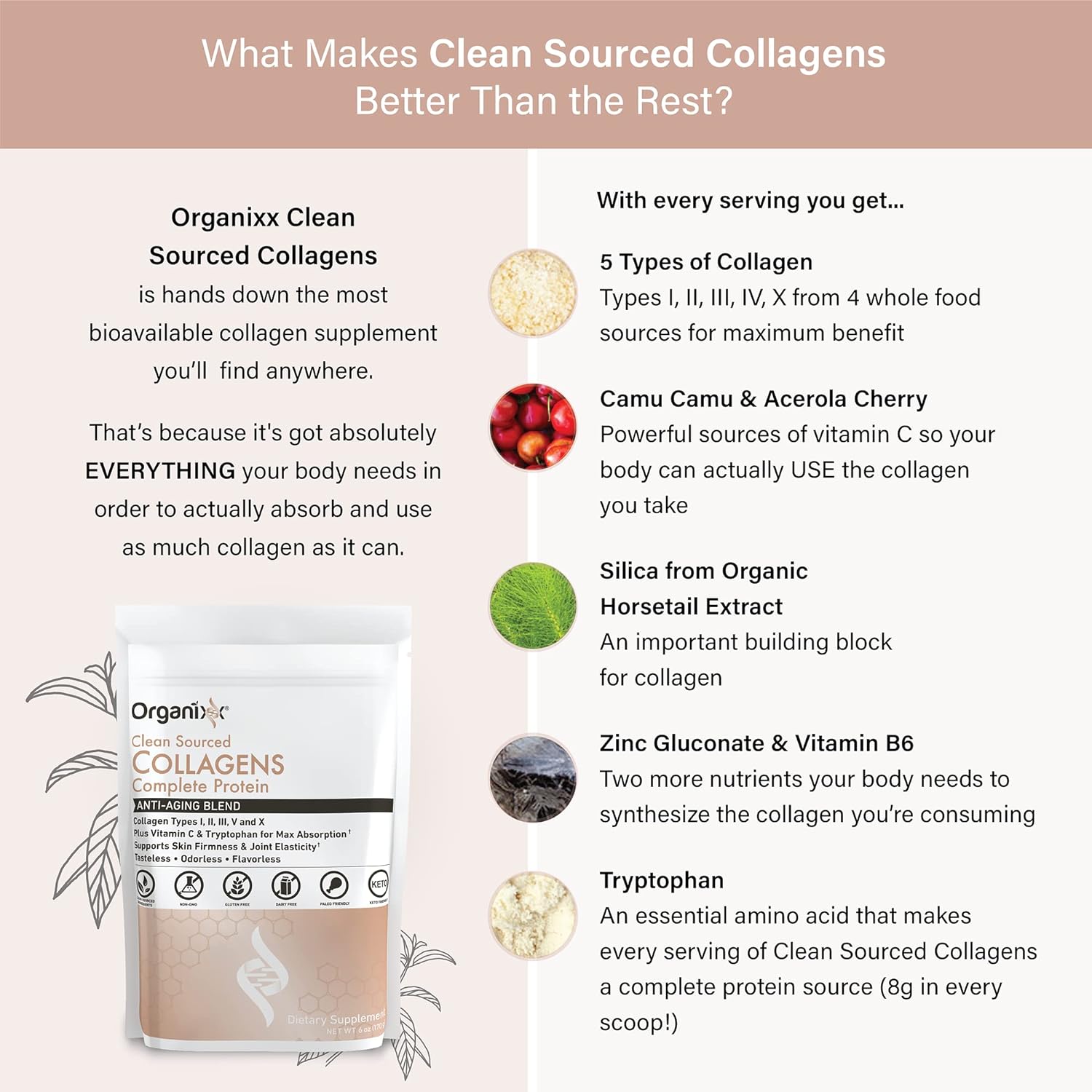 Organixx Clean Sourced Collagen Powder, Hydrolyzed Protein Powder Collagen Peptides with Vitamin C, and Types I, II, III, V, X, For Skin, Joints, Hair and Nails, Aging Support, Unflavored, 20 Servings 170gm