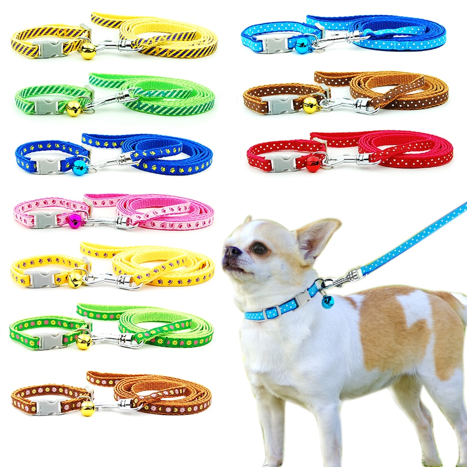 dog accessories daraz