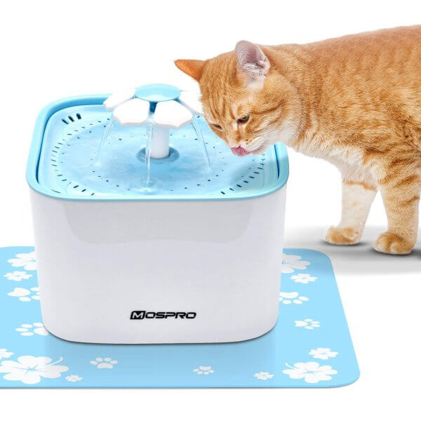 best pet water fountain