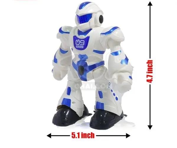 A Lifelike Dance Robot