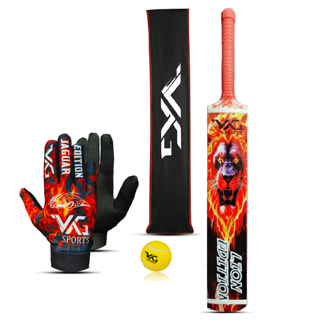 VG Sports Cricket Bat Set with High-Quality Performance
