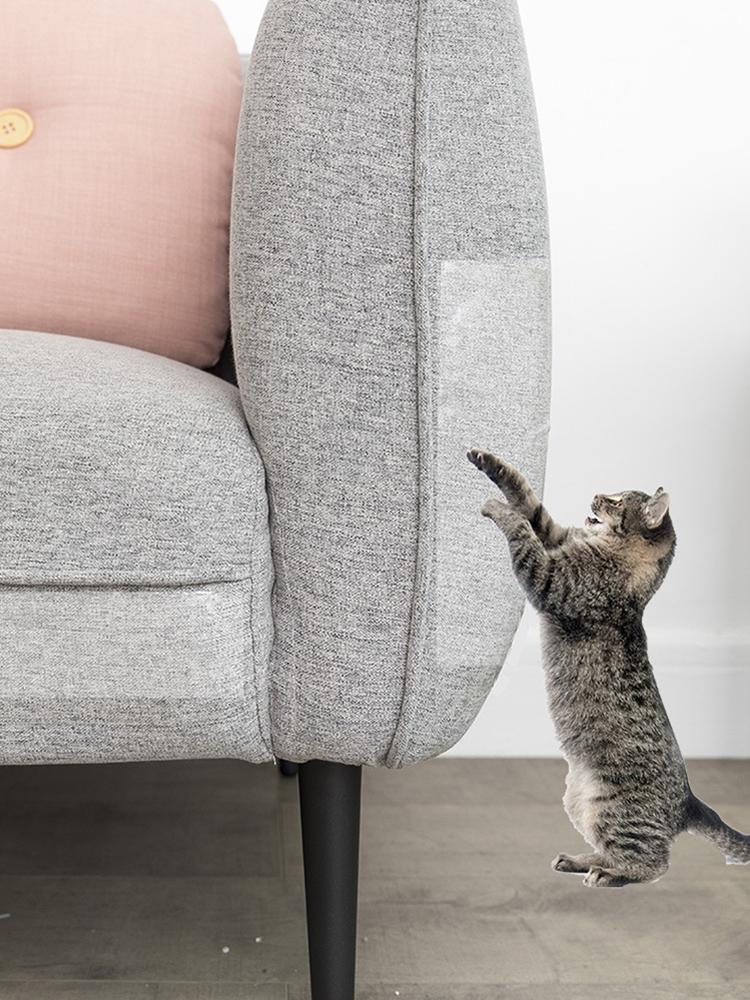 51 Best Images Anti Scratch Mittens For Cats Best Top 10 Cat Care