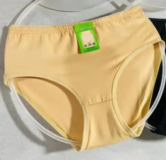 Underwear for Girls Soft Cotton Panties for Women & Girls Comfortable Cotton Underwear for Ladies Breathable Durable and Available in Sizes Small to XL Premium Quality Multicolor Briefs