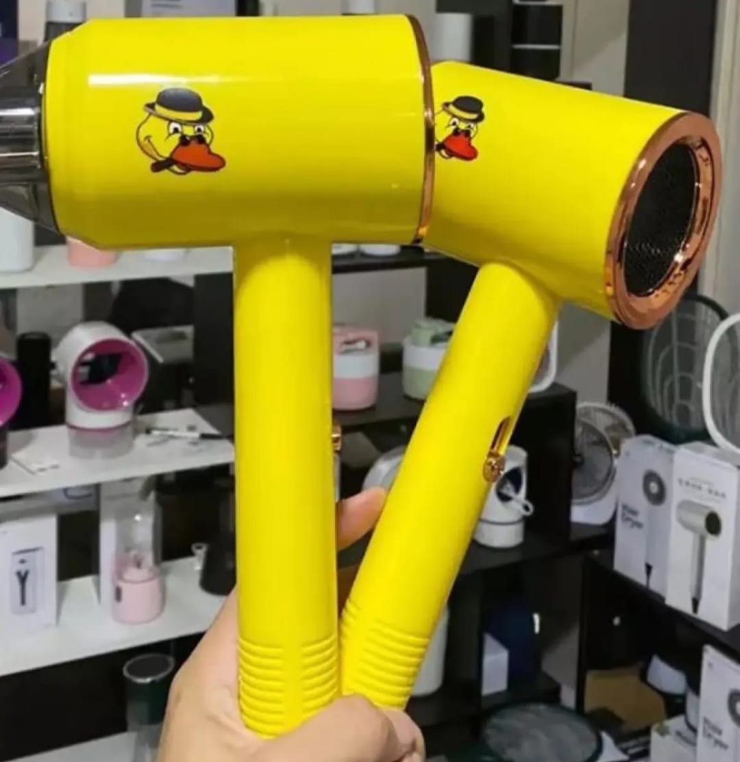 Compact Blow Hair Dryer