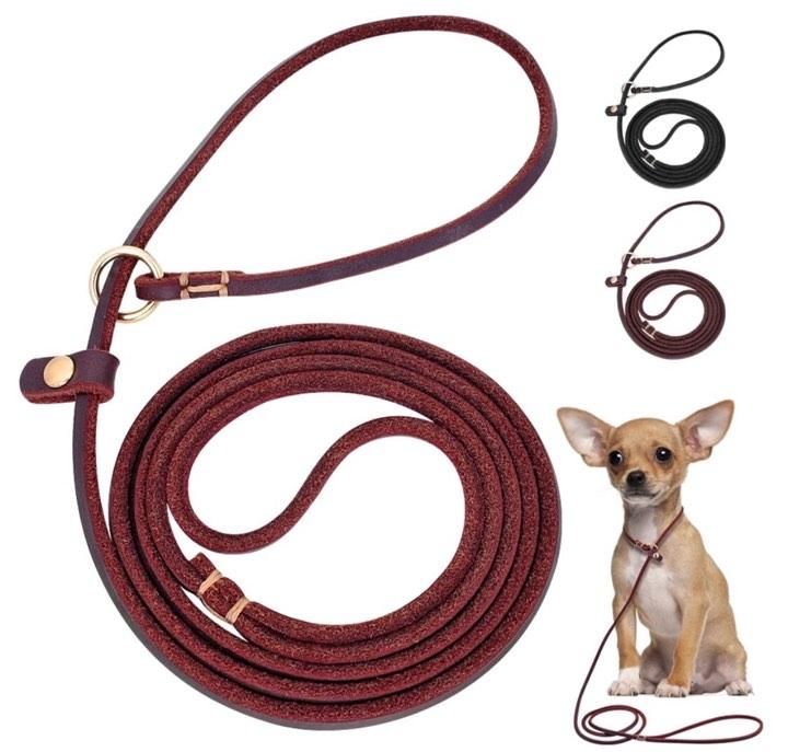 outdoor leash for dogs