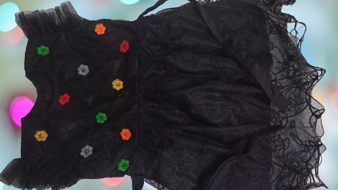 net fancy frock
