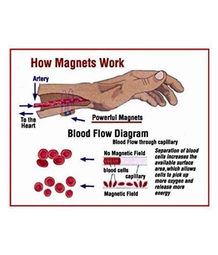 Blood Pressure Control Magnetic Fashion Bracelet Best Quality Bangles Bracelet  for Men Women