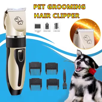 dog grooming kit for small dogs