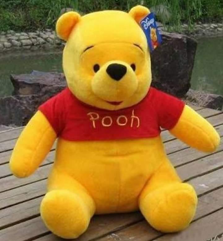 pooh teddy bear online