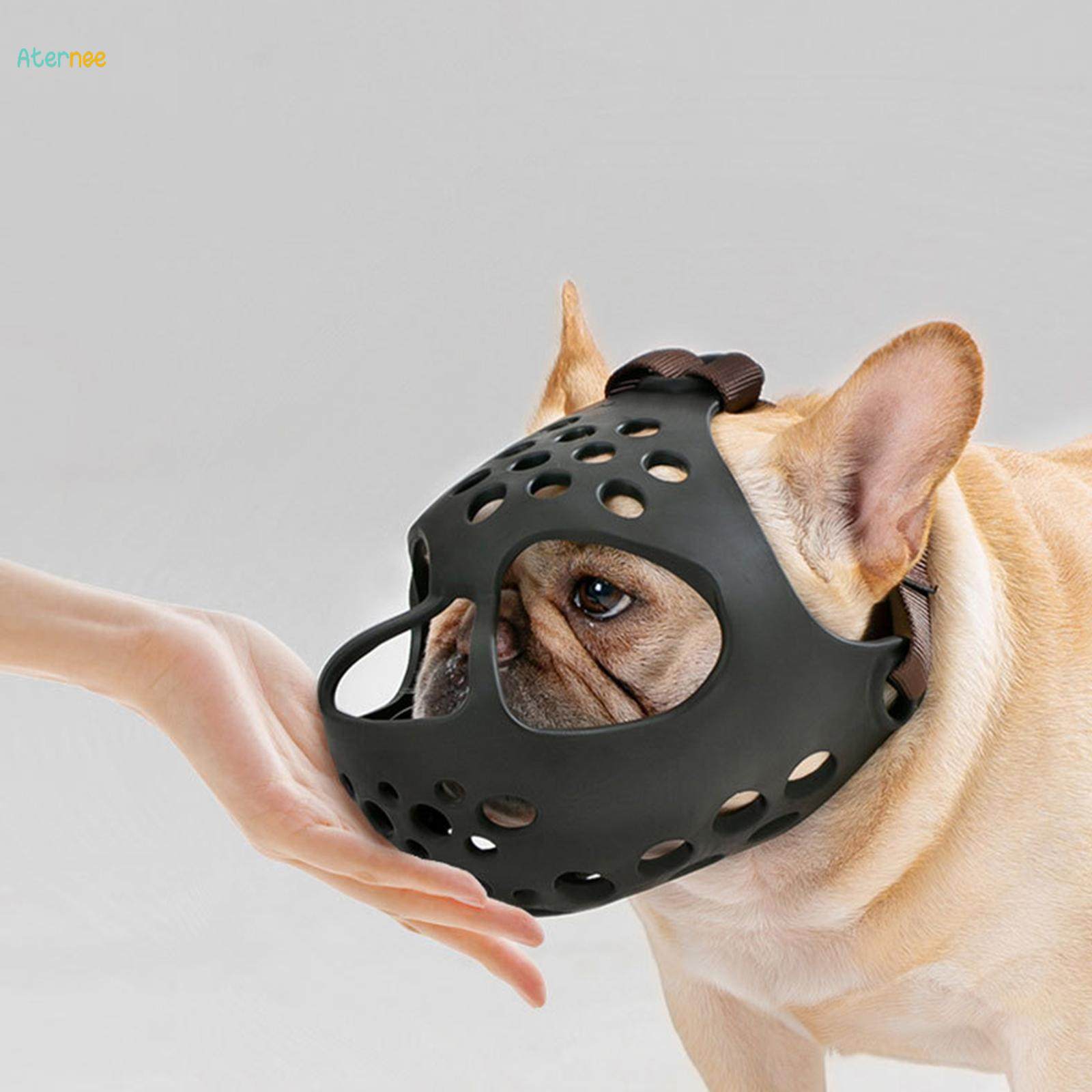 Pug with outlet muzzle