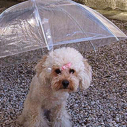 umbrella leash for dogs