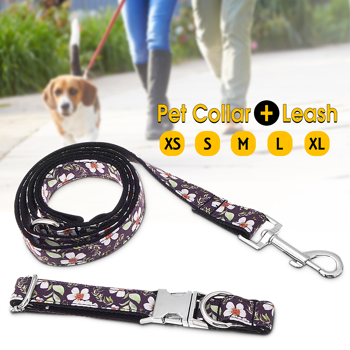 outdoor leash for dogs