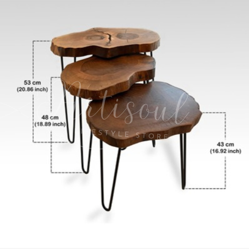 Small Round Side Table | Sofa Side Table & Bedside Table | Natural Live Edge Sheesham Wood | Metal Hairpin Legs | Drawing Room Corner Accent Table | Rustic Handmade Pakistan