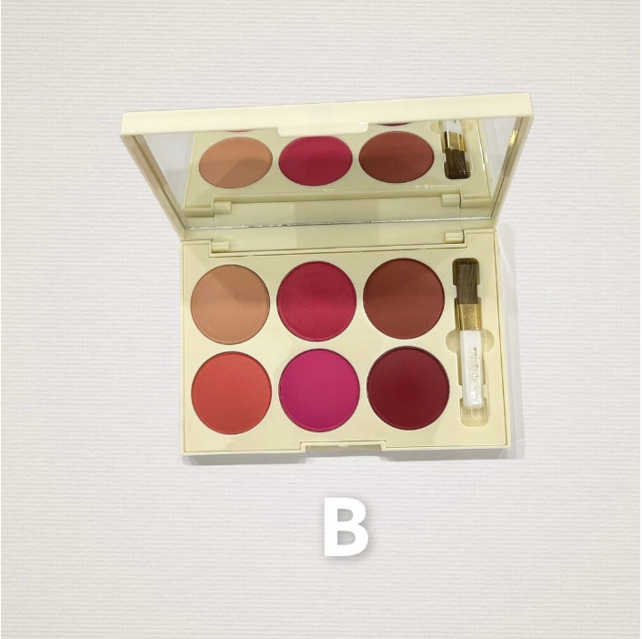 Tv Parlour Original Matte Blush On Kit 6 In 1 Professional Blush